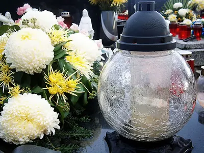 Kwiaciarnia Fenix. Cmentarz Komunalny. Iwona i Andrzej Kowalscy